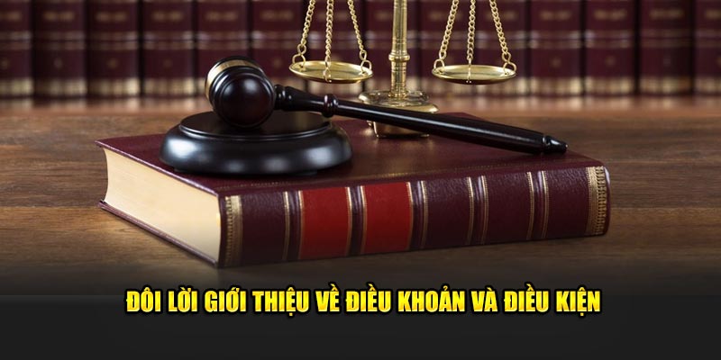 Đôi lời giới thiệu về điều khoản và điều kiện